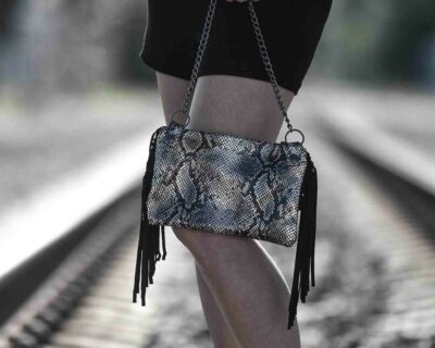 Python Clutch