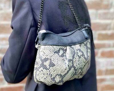 Small pleated Bag in leather